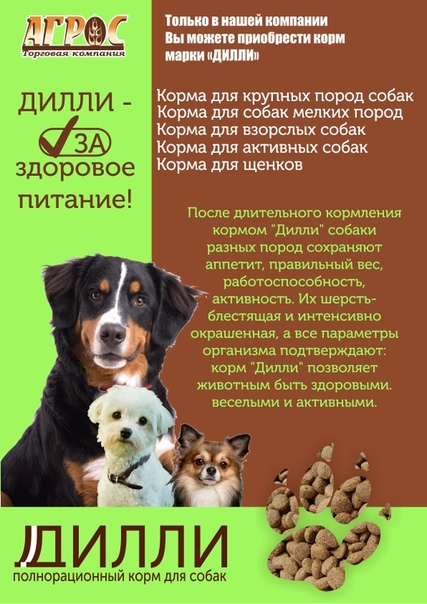 Корм для собак дилли: 110 фото и видео инструкция как и сколько давать собаке корма
