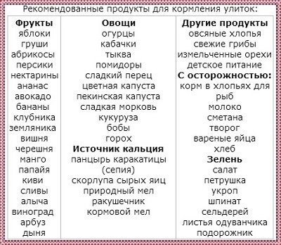 Можно давать есть. Таблица питания улиток ахатин. Чем кормить улиток ахатин список. Чем можно кормить улиток ахатин. Список продуктов для ахатин.