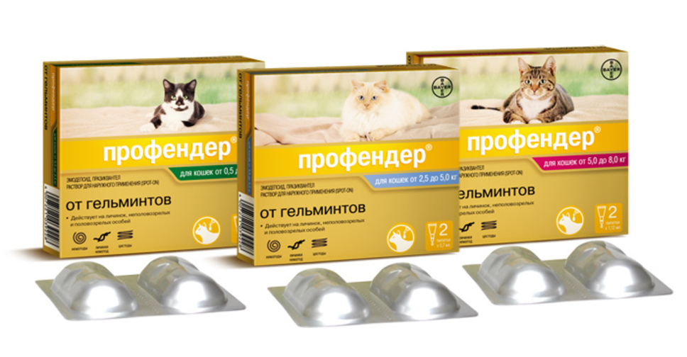 Дегельминтизация