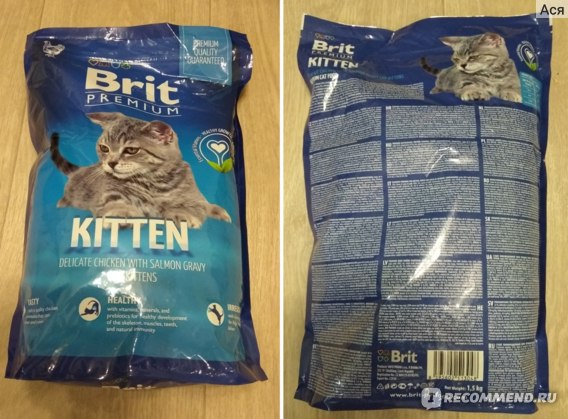 Brit premium корм для кошек: отзывы, где купить, состав