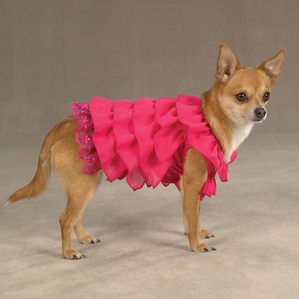 Одежда для собак (54 фото): таблица размеров одежды для представителей маленьких и больших пород. как определить размер с помощью ростомера?