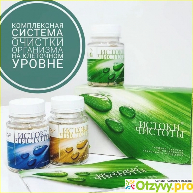 Как вывести блохи у домашней кошки: средства и методы