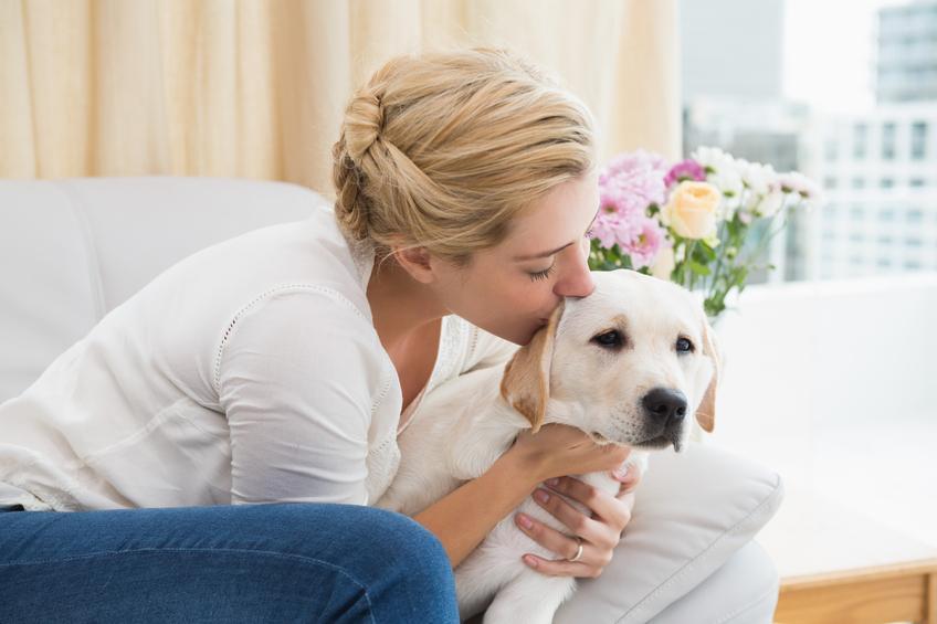 Гипоаллергенные собаки: какие породы не вызывают аллергию | hill's pet