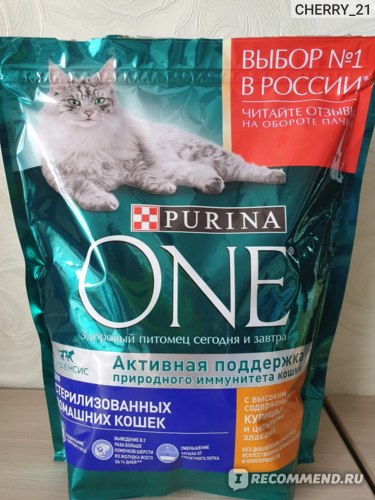 Корм purina one для кошек: сухой, влажный, отзывы ветеринаров