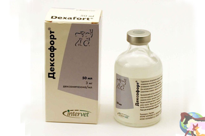 Дексафорт, гормональный противоаллергический препарат