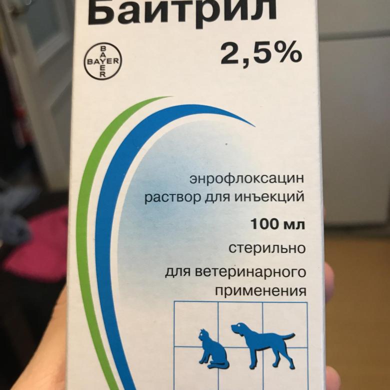 ᐉ байтрил для собак — инструкция по применению - ➡ motildazoo.ru