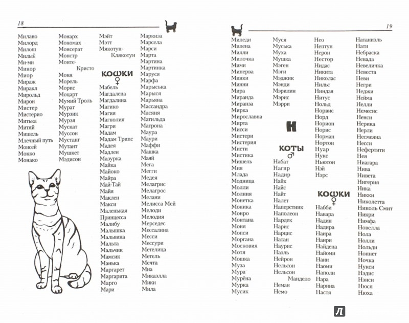 Имена для котов и кошек: список красивых, легких, популярных, современных, редких кличек