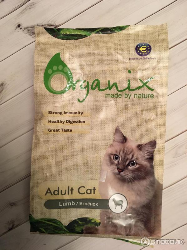 ᐉ обзор корма для кошек organix - ➡ motildazoo.ru