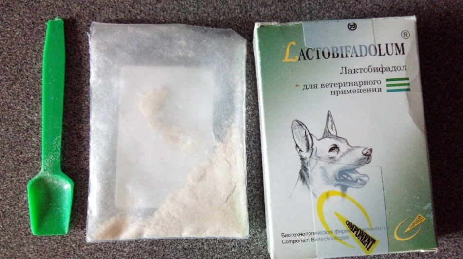Лактобифадол для кошек: инструкция по применению ветеринарного препарата, аналоги, отзывы