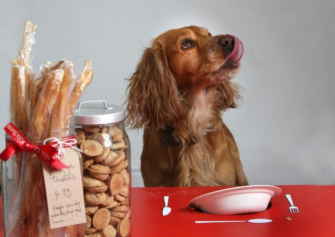 Лакомства для собак своими руками: как сделать вкусняшки из печени и легкого в домашних условиях? рецепты приготовления натуральных лакомств