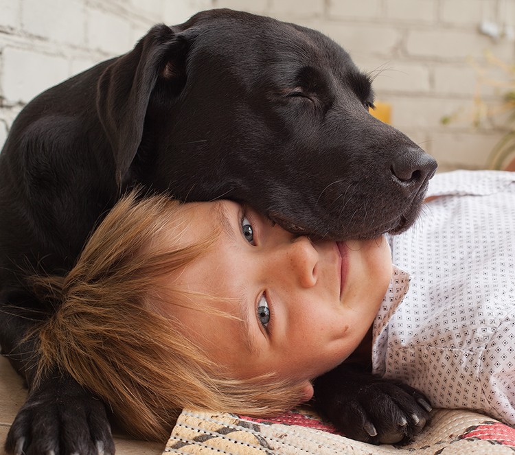 Собака — лучший друг человека, или просто притворяется?