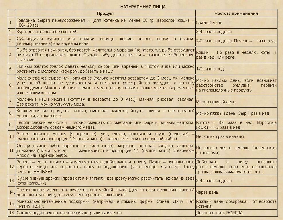 Чем кормить кошку 1 месяц. Рацион питания котенку 1.5 месяца британец. Рацион питания котенка 2-3 месяца. Рацион питания для котенка 5 месяцев. Сколько кормить котенка 5 месяцев.