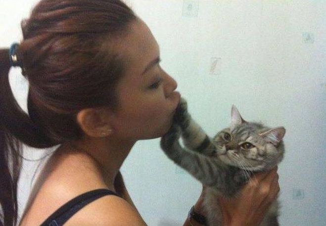 Что означают поцелуи и объятия для кошки от ее хозяина