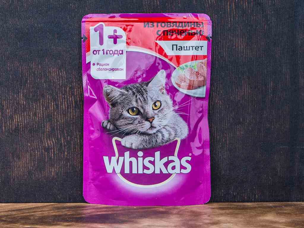 Рейтинг влажных кормов для кошек 2020 года: какой жидкий корм лучше, советы ветеринаров
