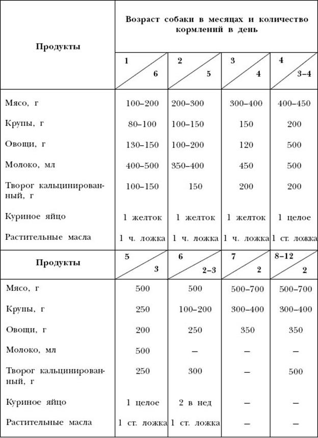 Как варить кашу щенкам московской сторожевой