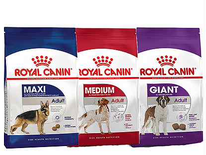 Корма royal canin: сухой и влажный корм. к какому классу относится? состав, описание линеек кормов, отзывы покупателей