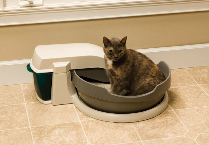 Топ-16 лучших наполнителей для кошачьего туалета