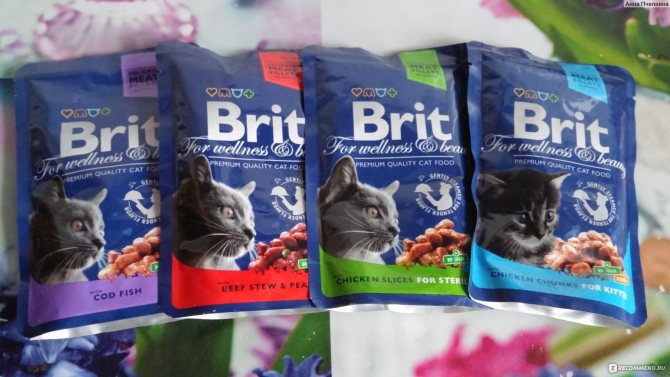 Корм для кошек brit: отзывы и рекомендации ветеринаров