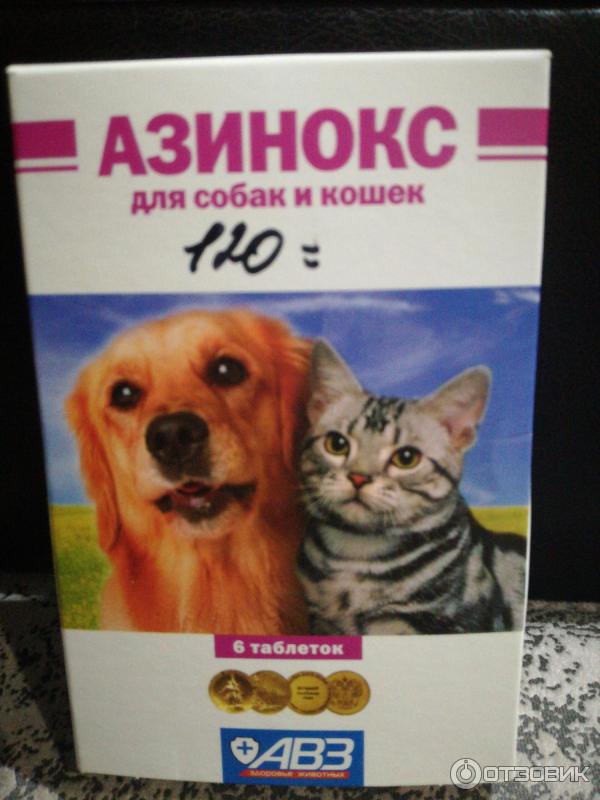 Гельминты у собак и кошек