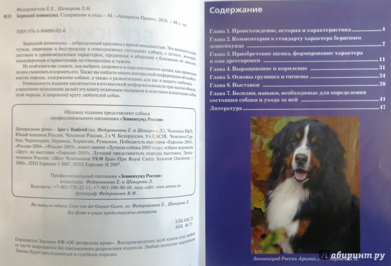 Описание породы собак немецкий дог с отзывами владельцев и фото