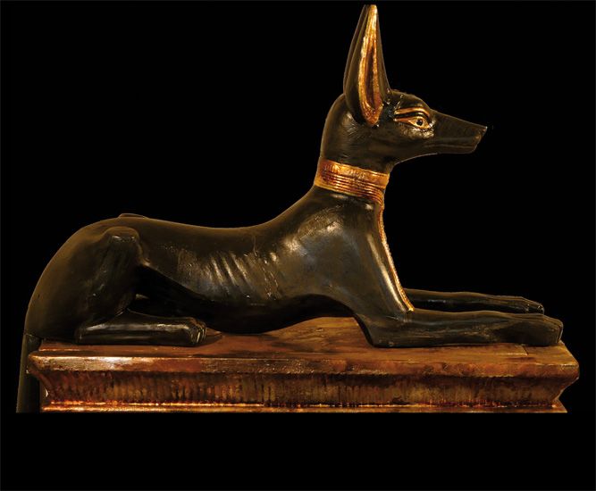 Фараонова собака