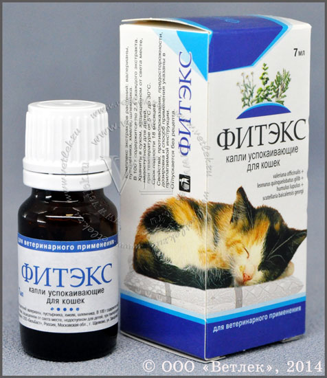 Успокоительные для кошек: обзор препаратов и их эффективность
