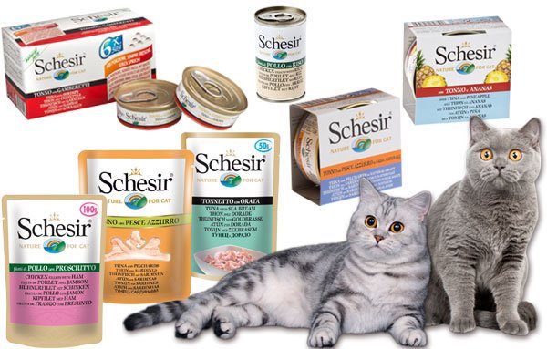 Вилдкет – корм для кошек. состав и виды питания для домашнего питомца