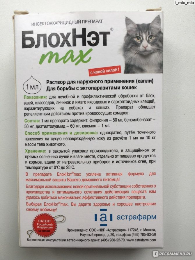 Капли Адвокат для кошек: инструкция по применению