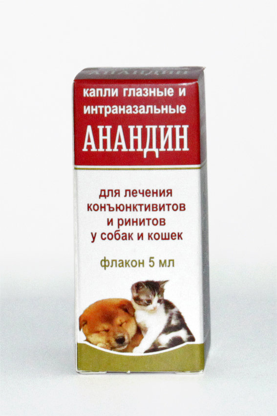 Анандин для кошек: инструкция по применению, отзывы, цена, капли и раствор