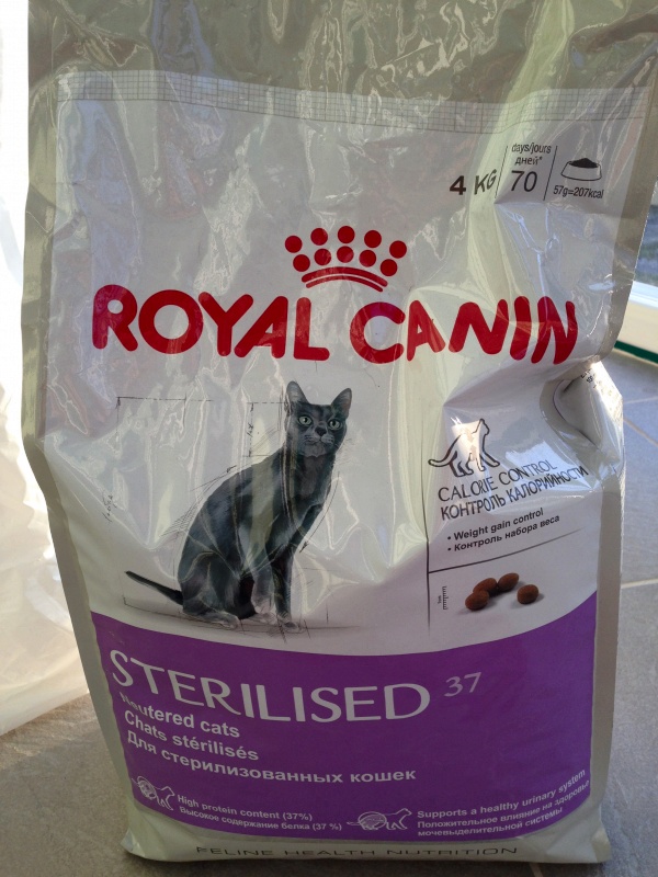 Роял канин для кастрированных котов: почему необходим, характеристика, состав, виды