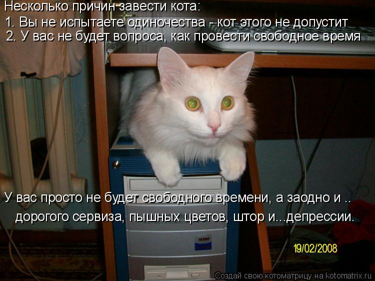 10 научно обоснованных причин завести кота аудиокнига ???? слушать онлайн ✔️ скачать аудиокнигу mp3 "10 научно обоснованных причин завести кота " без регистрации, автор(ы): лайфхакер, чтец(ы):