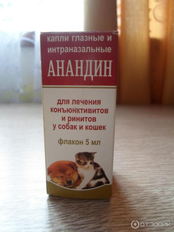 Анандин: инструкция по применению для кошек