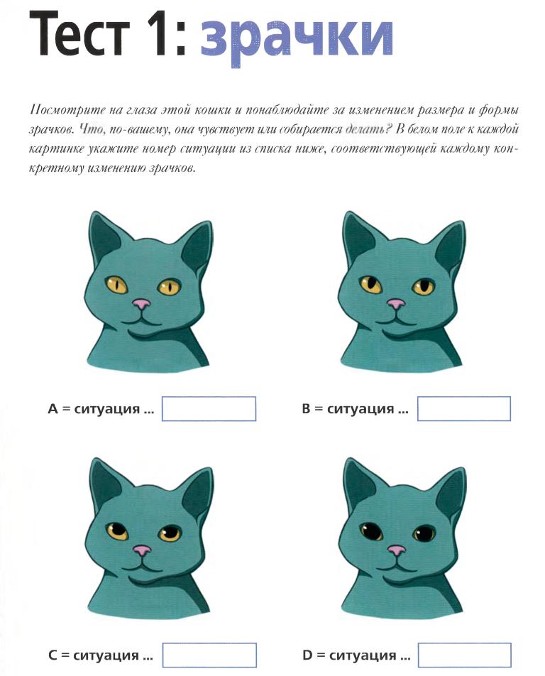 Разговорчивые кошки, что означает настойчивое мяуканье кошки, признак болезни кошки, психология кота кошки говоруна, поведение кошки, реферат почему кошка мяукает? психология кошки