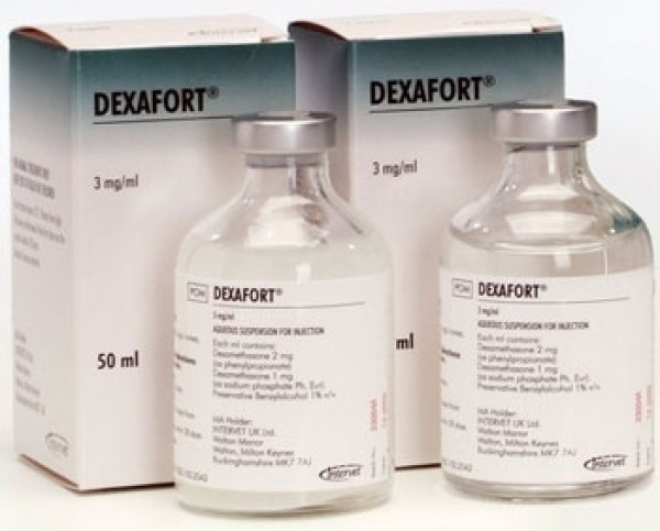 Инструкция по применению препарата «дексафорт» для лечения кошек, стоимость и аналоги