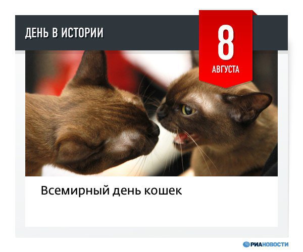 Календарь кошачьих праздников