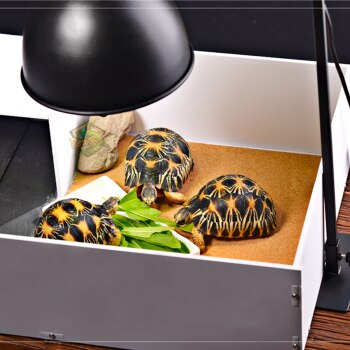 Ультрафиолетовая лампа для черепах (сухопутной и водной красноухой): вредны ли уф лампа террариума для рептилий человеку, освещение и обогрев для аквариума