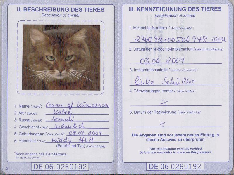 Как сделать международный ветеринарный паспорт коту или кошке и правильно его заполнить, сколько это стоит?