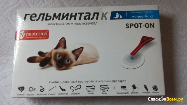 Гельминтал для кошек (таблетки, сироп, капли): инструкция по применению