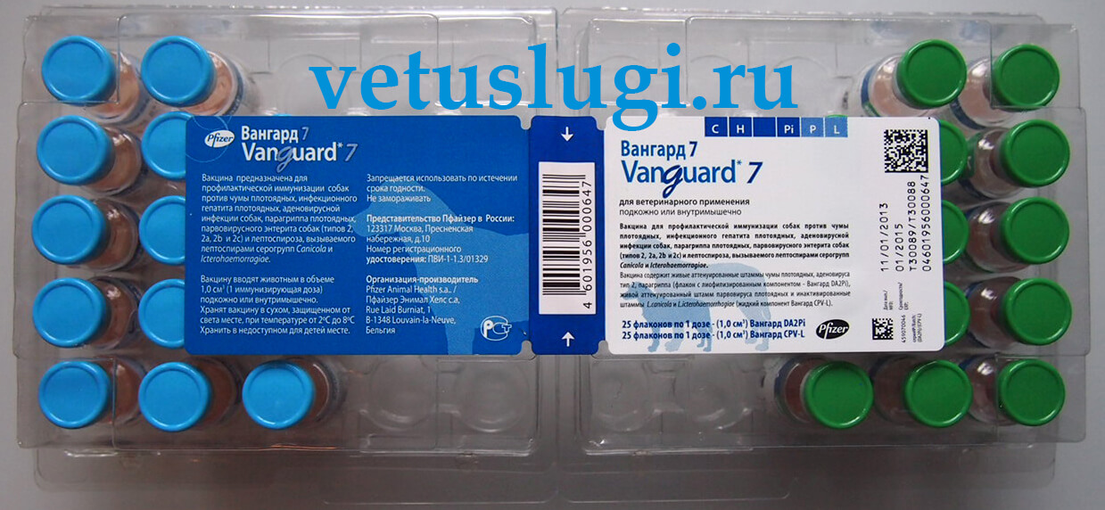 Вакцина вангард 5. Вангард вакцина для собак. Вангард 5 для собак. Вангард 7l. Вакцина Вангард CPV-L для собак.