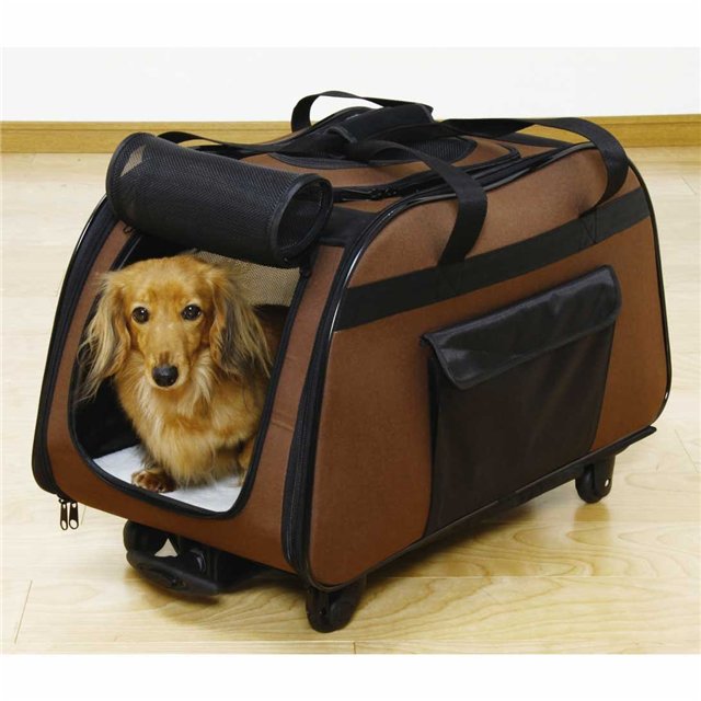 Переноска-рюкзак для собак: описание, критерии выбора и использование