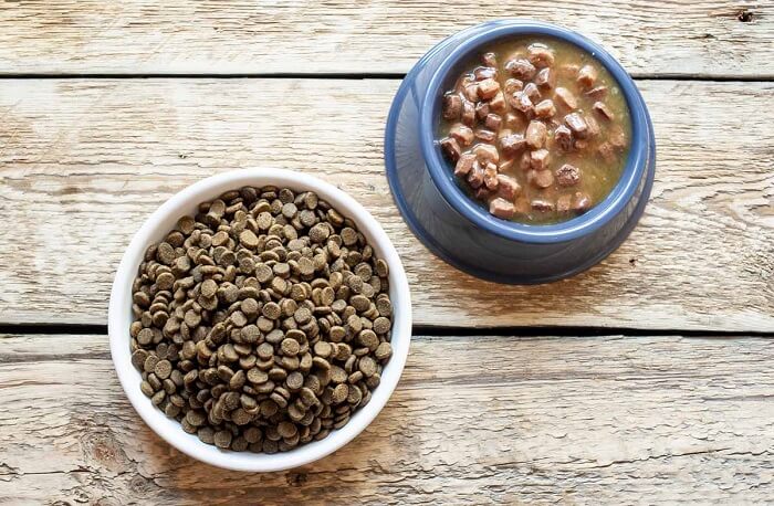 Можно ли кормить кошку сухим, влажным и натуральным кормом одновременно? как правильно смешивать корма? за и против их совмещения