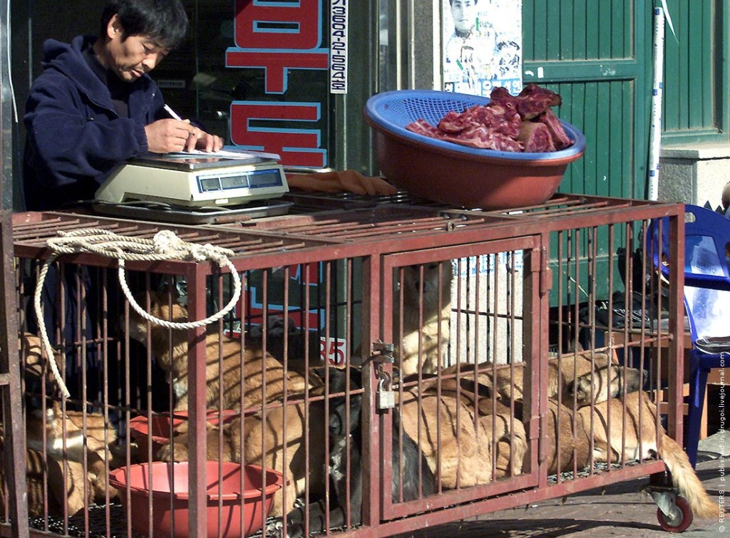 Потребление мяса собак в южной корее - dog meat consumption in south korea - abcdef.wiki