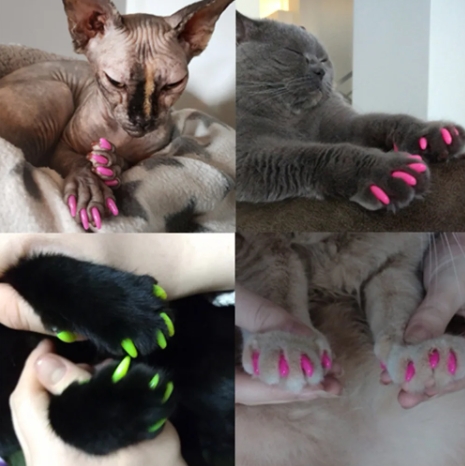 Антицарапки накладки для кошек и маленьких котят - силиконовые колпачки и насадки на когти