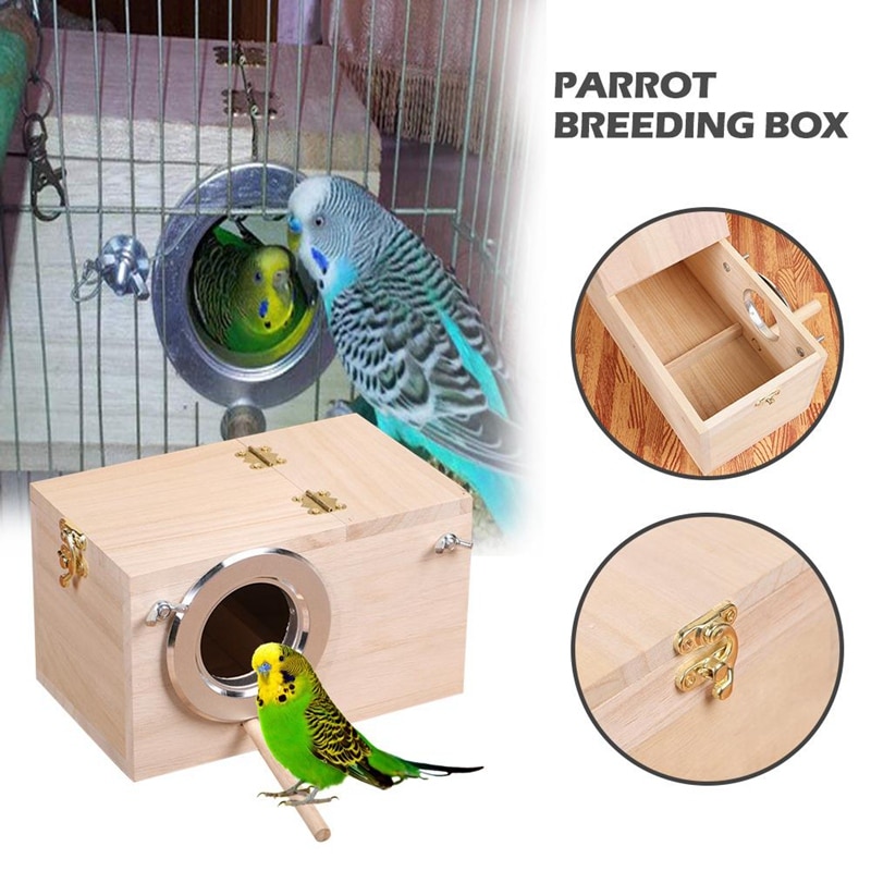Этапы строительства гнездового домика для волнистых попугаев