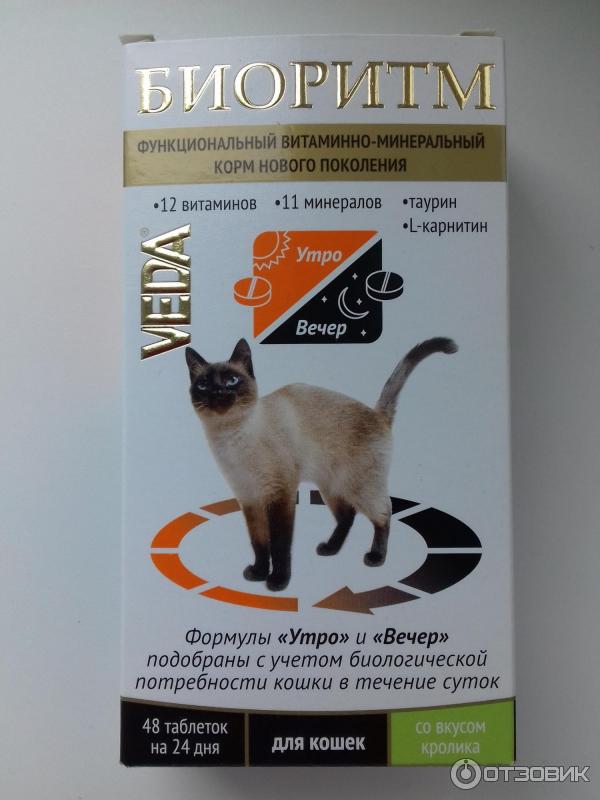 Авитаминоз у кошек