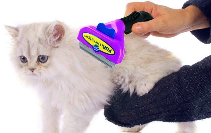 Как правильно вычесать шерсть у кошки