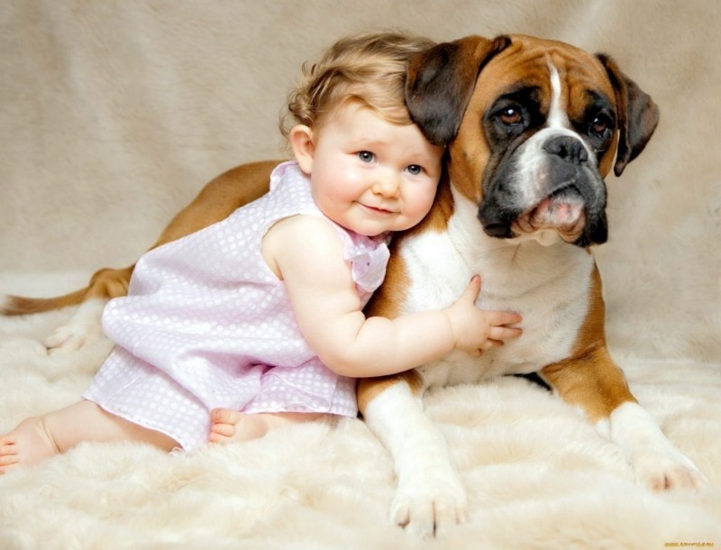Какую породу собак выбрать для ребенка: топ 15 четверолапых нянек