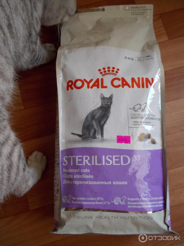 Корм для кошек роял канин (royal canin): отзывы, анализ состава