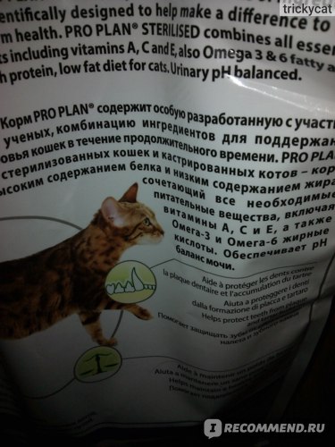 Обзор корма для кошек «трейнер»