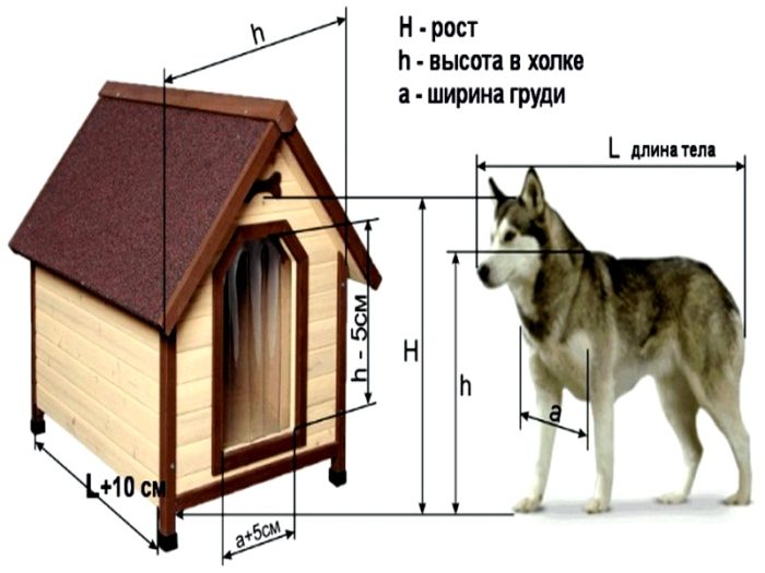 Будка для собаки своими руками: фото, видео, чертежи, пошаговая инструкция